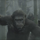 Illustration for article titled Caesar is War-Painted and Grizzled in the emPlanet of the Apes/em Teaser